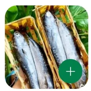 ikan tongkol isi 2