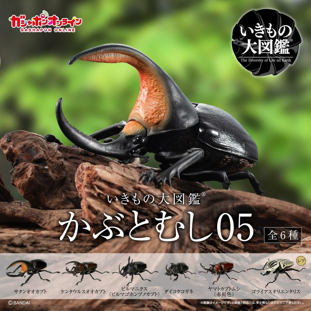 Ikimono kabuto mushi Rhinoceros beetle 05 figure kumbang badak bandai gashapon capsule toy Japan