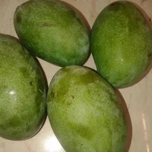 mangga manalagi 1 kg