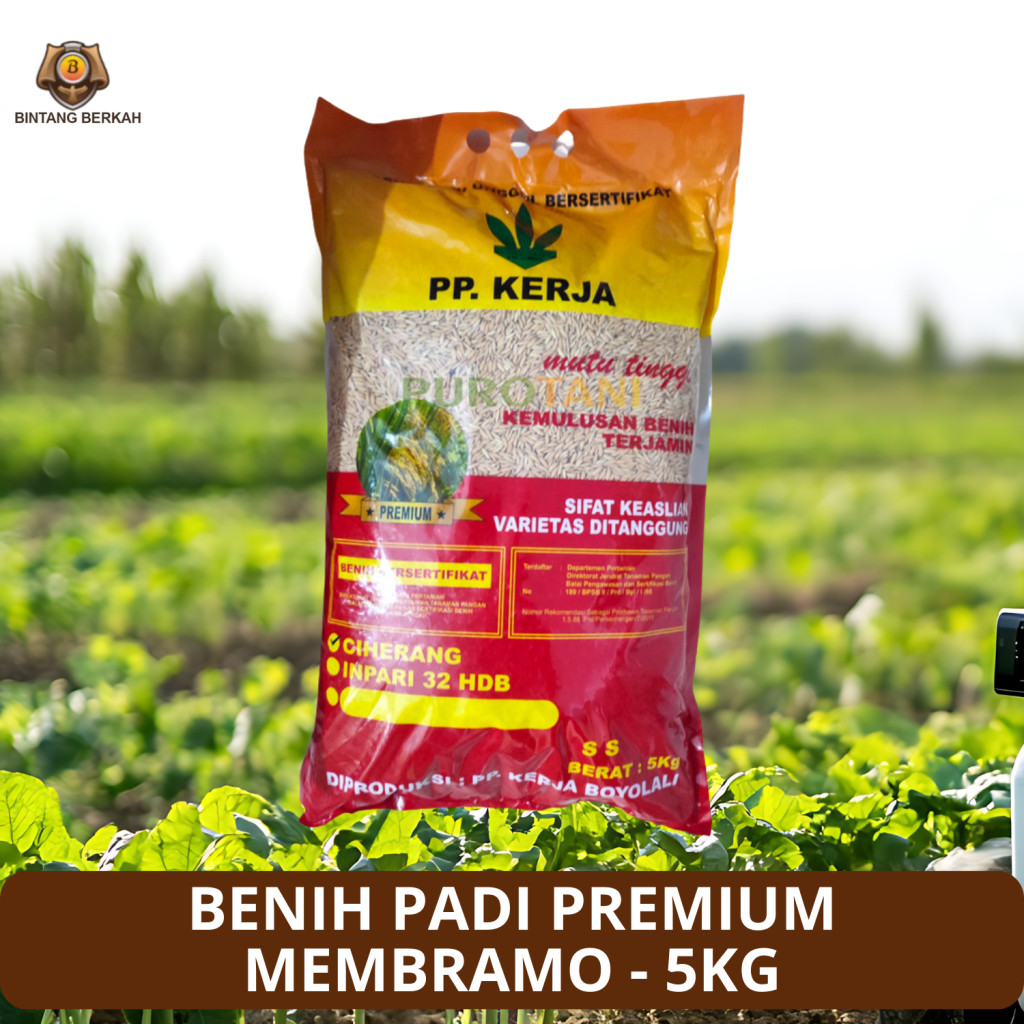 Benih Padi Membramo 5 Kg Benih Padi Unggul Bersertifikat