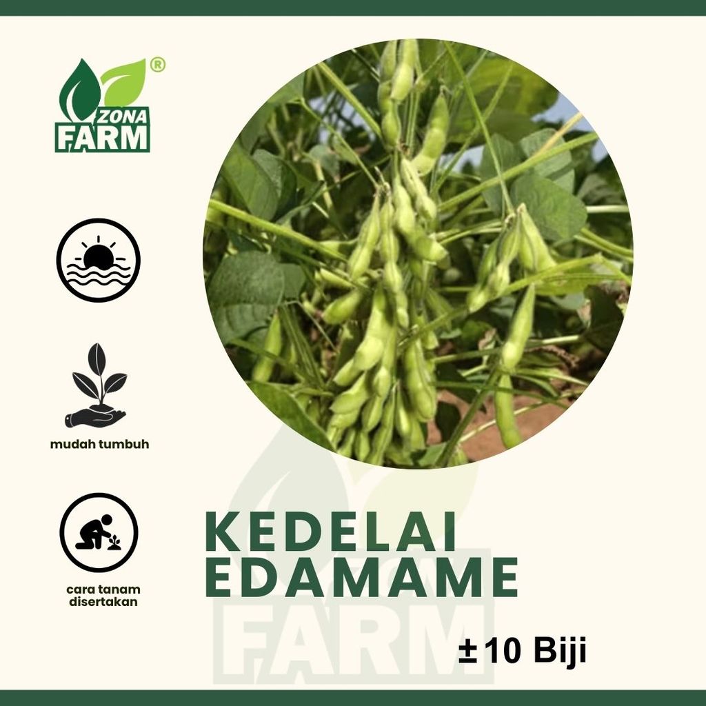 Benih Kedelai Edamame Unggul 10 Biji
