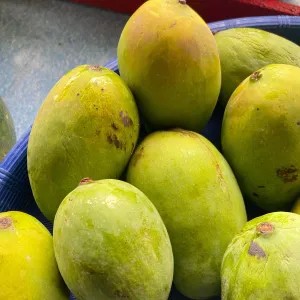 MANGGA GADUNG 1kg