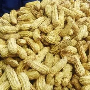 kacang tanah basah 1kg