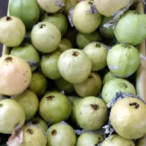 jambu biji 1kg