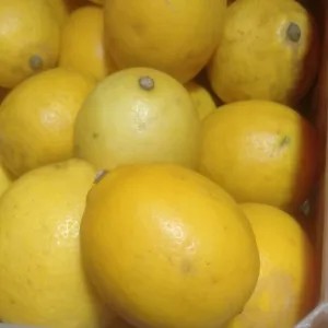 lemon california 1kg