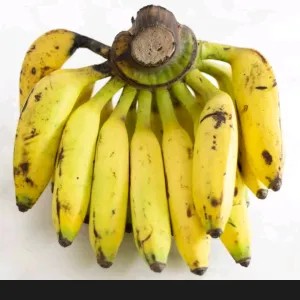 PISANG ULI 1 sisir