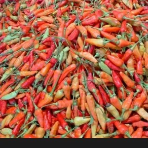 RAWIT MERAH 1KG / Cabe