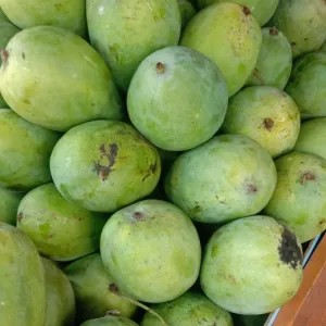 Mangga Gadung Mengkal 1kg