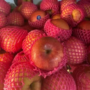 apel fuji premium 1kg