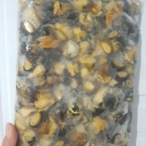 KOL SAWAH/ FROZEN SEAFOOD/FROZEN FOOD 1kg