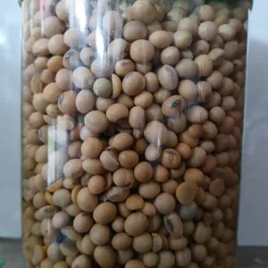 Kacang Kedelai 1kg