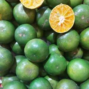 Jeruk Peras 1kg