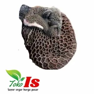 Babat Sapi 1 Kg, 500gram, atau 250gram
