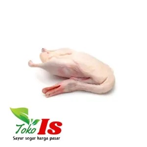 Bebek Hidup Potong Instan