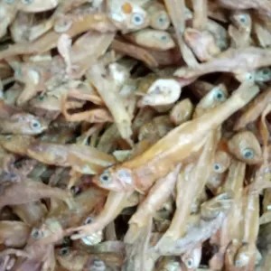 ikan teri jengki tawar padang 100g