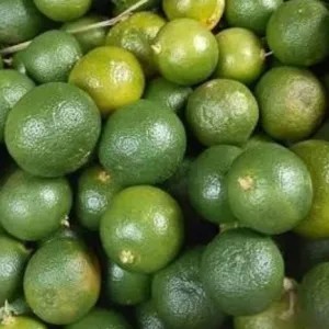 jeruk sonkit pontianak