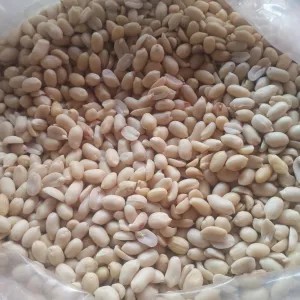 Kacang Tuban kupas curah 1kg