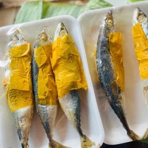 ikan pindang Salem