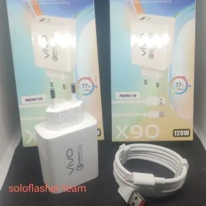 charger vivo 120w mikro 150g