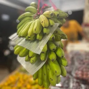 Pisang Mas 1 lirang