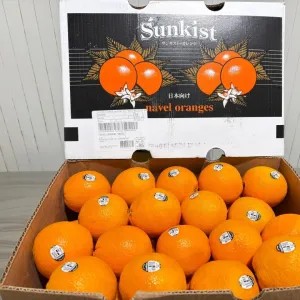 jeruk Sunkist navel