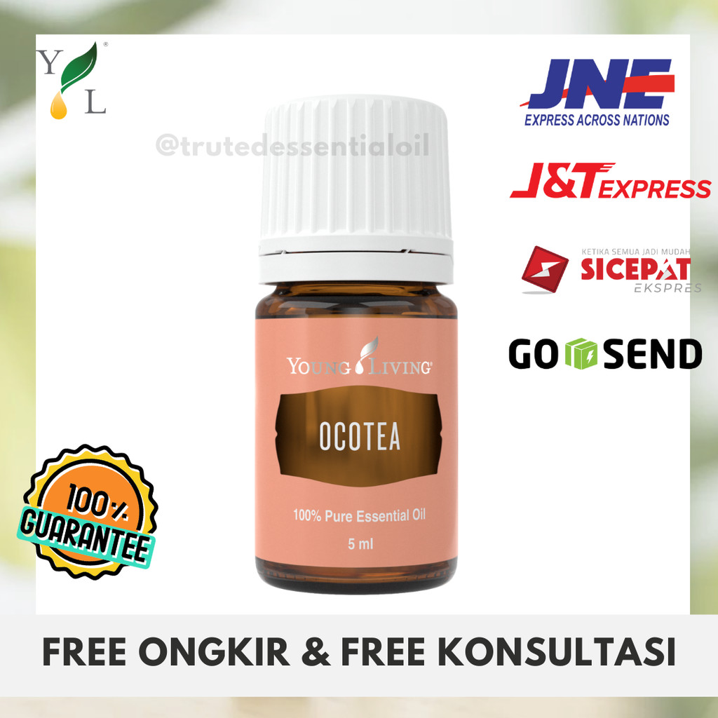 OCOTEA ESSENTIAL OIL YOUNG LIVING 5ML