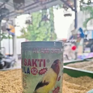 ALAM SAKTI KENARI