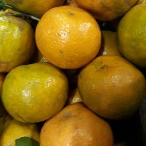 Jeruk Tawang Mangu 1kg