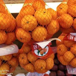 jeruk santang mandarin manis 1 kantong