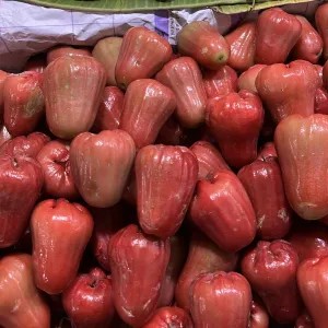 Jambu Air Merah 1kg