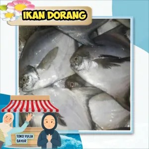 Ikan Dorang