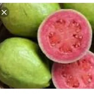 jambu biji merah 1kg