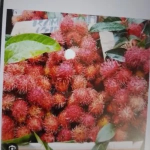 rambutan binjai tanpa tangkai1kg