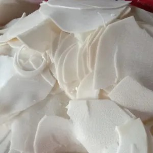 sayur bung /rebung mentah 500g