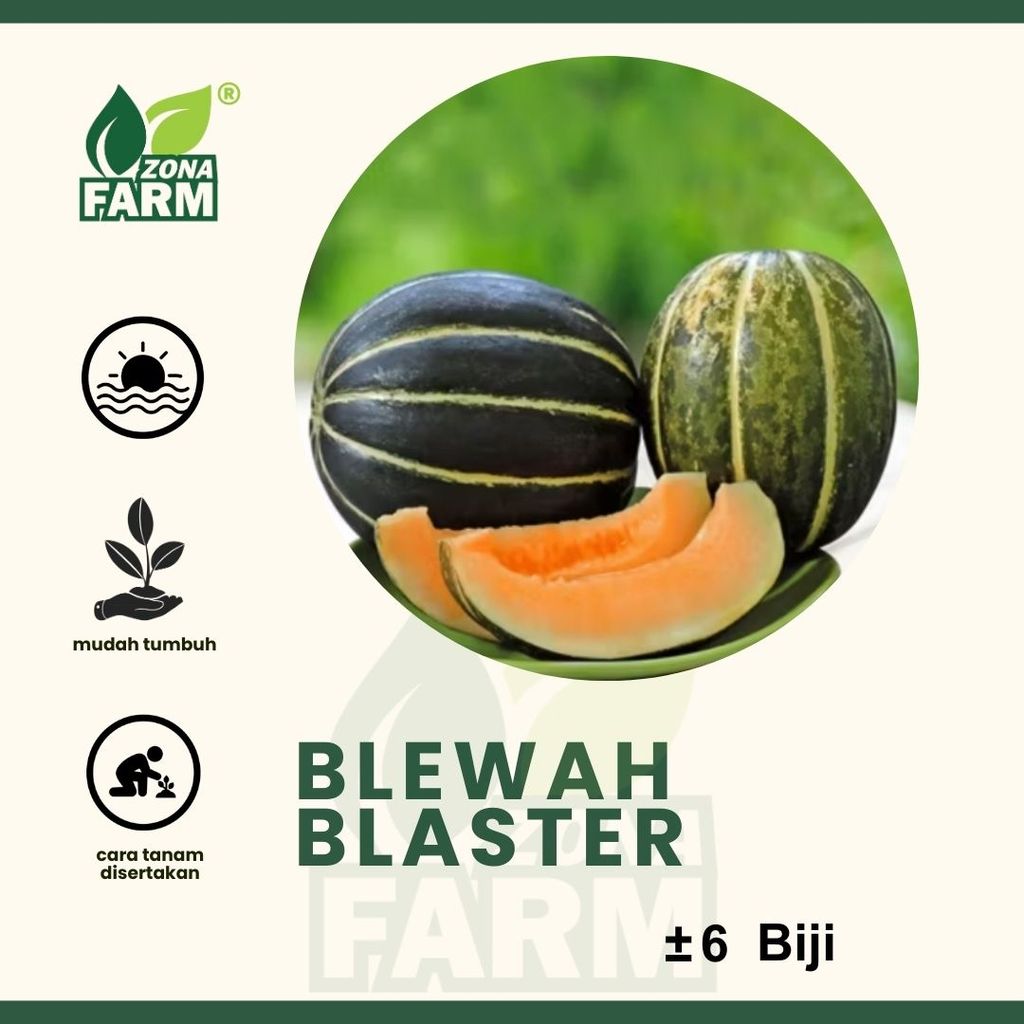 Benih Blewah Blaster Unggul 6 Biji