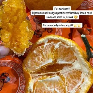 Jeruk papagan yuji (3 buah)