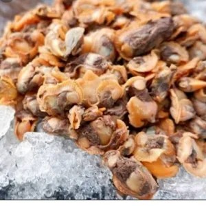 Frozen kerang dara kupas/frozen seafood/Frosen food 1kg