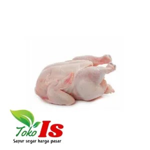 Ayam Merah (Ayam Opor) Hidup Potong Instan