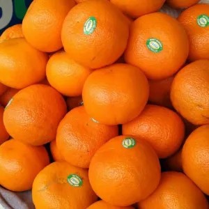 jeruk Mandarin 1kg