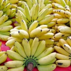 pisang mas