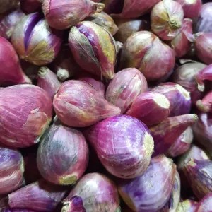 Bawang merah brebes Super
