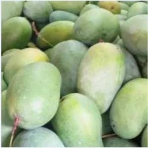 MANGGA HARUM MANIS.   1kg