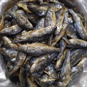 Ikan Bilis Goreng 100g