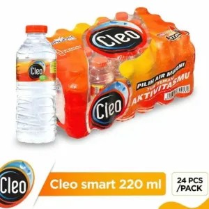 CLEO SMART 220 ML 1 DUS