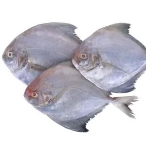 Bawal Laut/Putih 500g