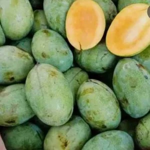 Mangga Manalagi 1kg