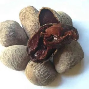 Kluwek / Biji Kluwek Per Pcs