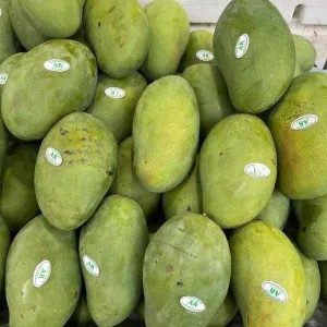 Mangga Manalagi 1kg
