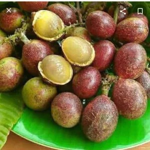 BUAH MATOA MANIS 1KG