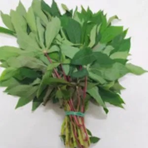 Daun singkong per ikat